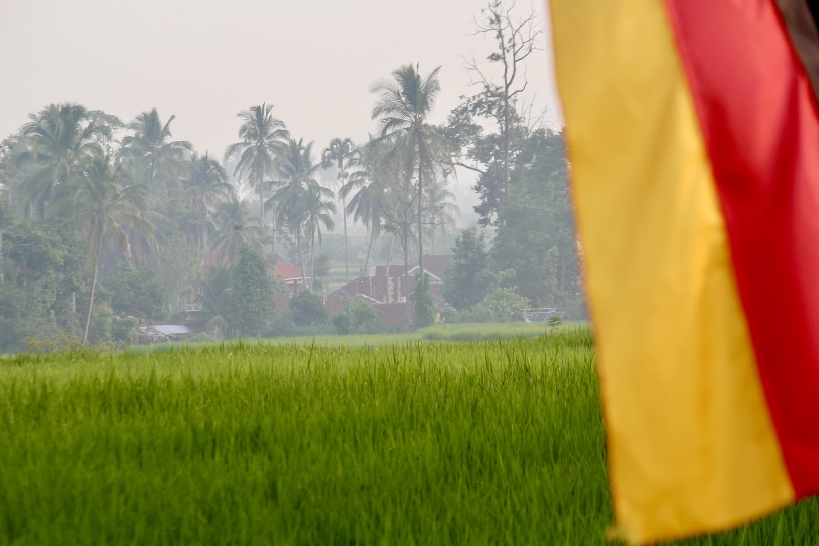 Bantuan Asing Tangani Karhutla Disetujui Prabowo, ISPA Sumut Tembus 89.638