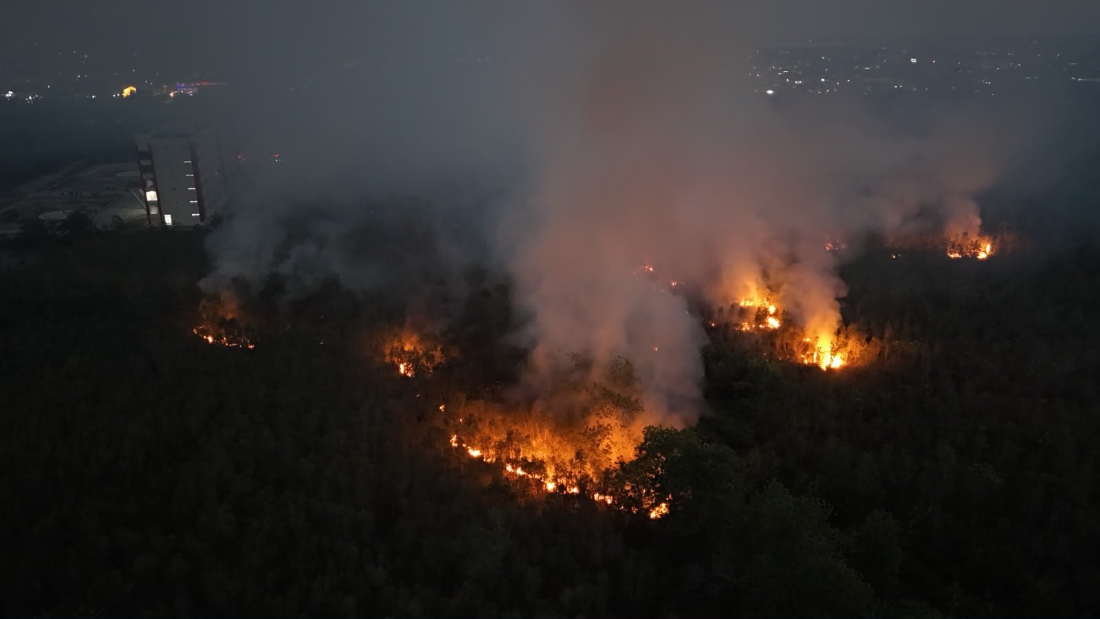 Karhutla Kalimantan Tengah: Menhut dan Kepala BNPB Berkantor di Palangka Raya