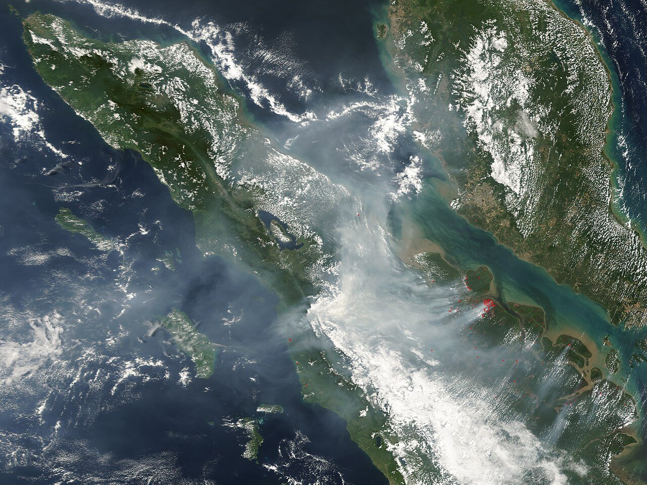 Karhutla Rambah Gunung Sumbing: 152 Pendaki Berhasil Diselamatkan