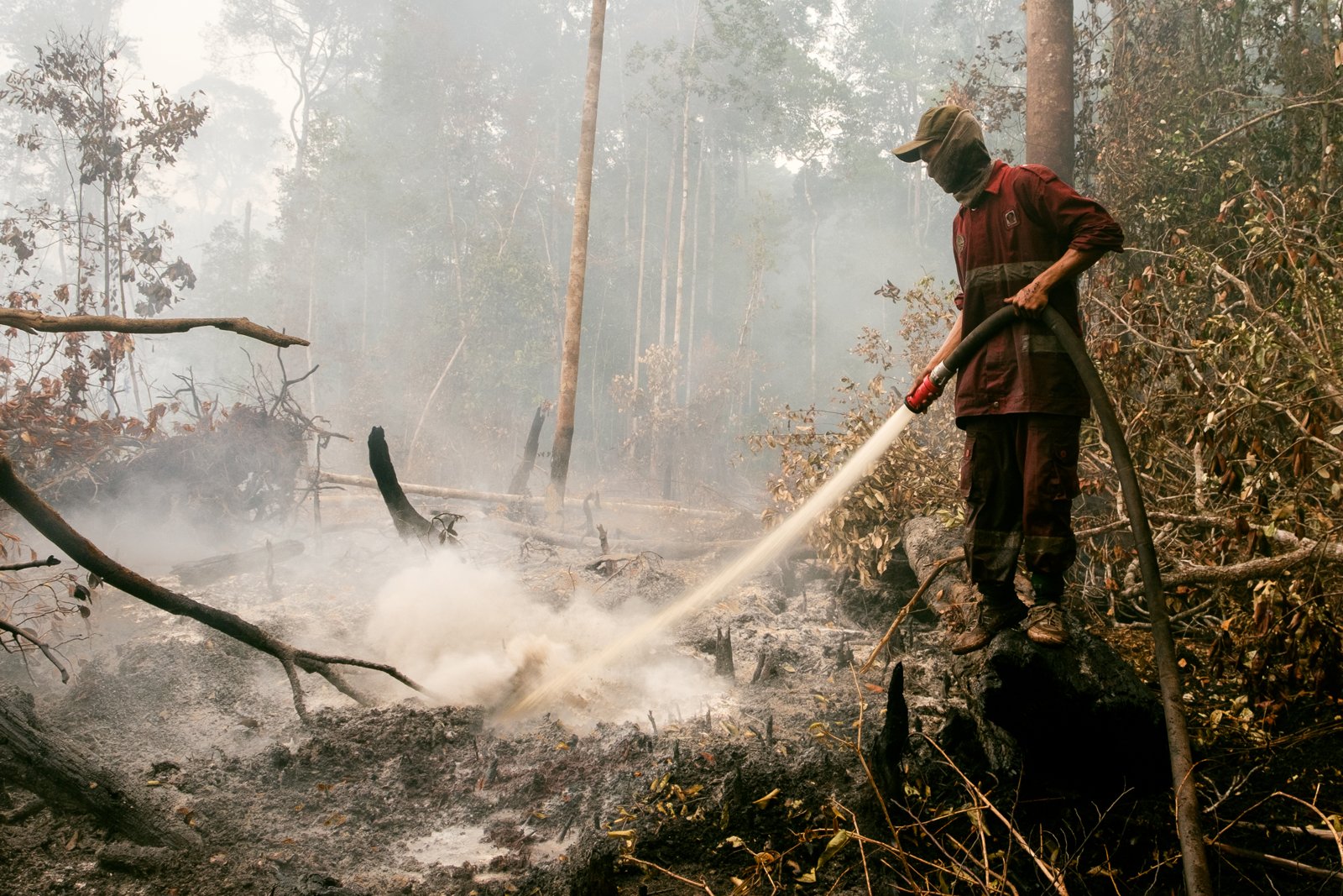 Prabowo Geram 8 Perda Bolehkan Bakar Lahan 2 Hektare: Ini Menipu